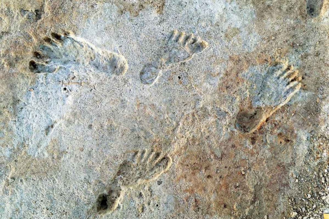 encontraron-huellas-en-el-fondo-de-un-lago-seco-y-descubrieron-que-estaban-ante-un-giro-rotundo-en-la-historia