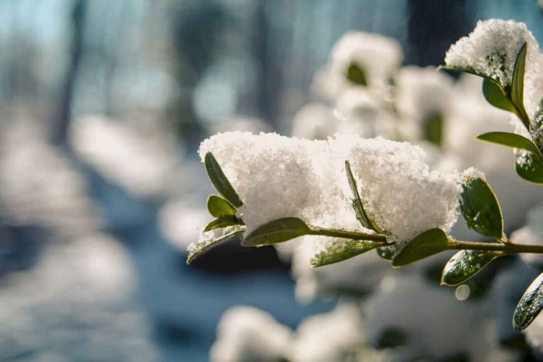 clima-en-cordoba:-cual-es-el-pronostico-del-tiempo-para-este-martes-21-de-mayo