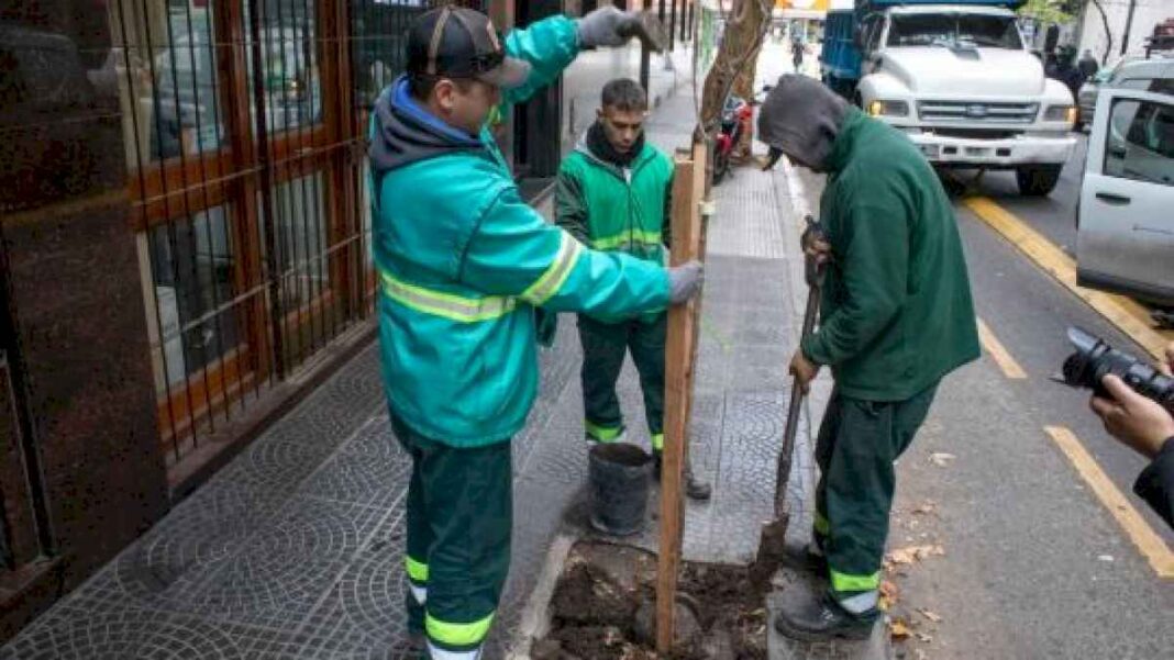 caba-presento-su-«plan-de-arbolado»-2024:-donde-plantaran-los-18-mil-ejemplares-nuevos?