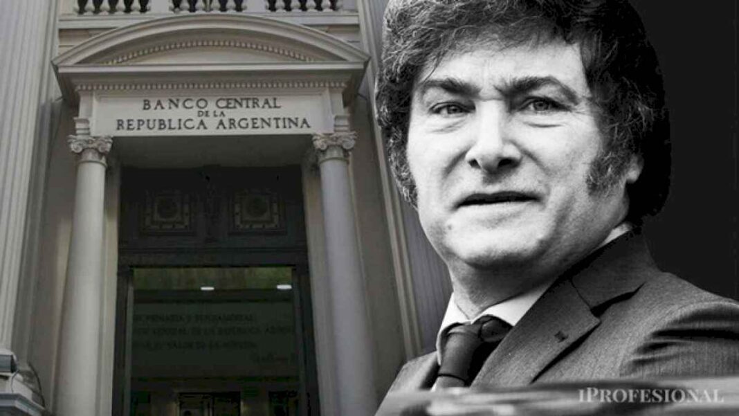 la-importancia-de-los-puts-en-la-era-javier-milei