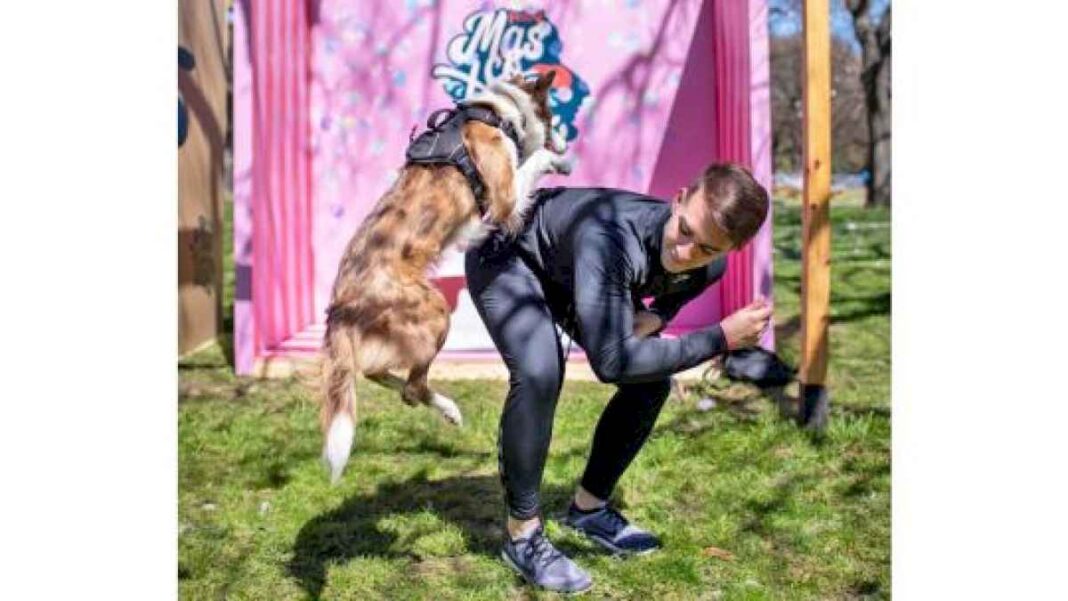 bosques-de-palermo:-asi-sera-el-lollapalooza-mascotero-que-se-realizara-este-fin-de-semana