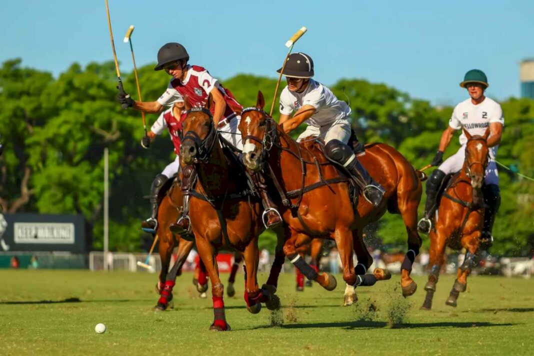 la-hache-y-ellerstina-golearon-en-una-tarde-de-polo,-sol-y-tribunas-abarrotadas-que-el-argentino-abierto-no-olvidara